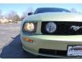 Ford Mustang GT Premium Coupe Legend Lime Metallic photo #17