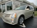 Cadillac SRX 4 V8 AWD in Gold Mist