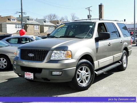Silver Birch Metallic 2003 Ford Expedition XLT 4x4 Silver Birch Metallic 2003 Ford Expedition XLT 4x4