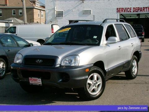 Pewter 2004 Hyundai Santa Fe Pewter 2004 Hyundai Santa Fe