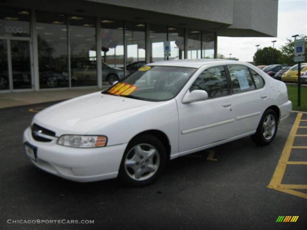 Cloud White / Blond Nissan Altima GXE